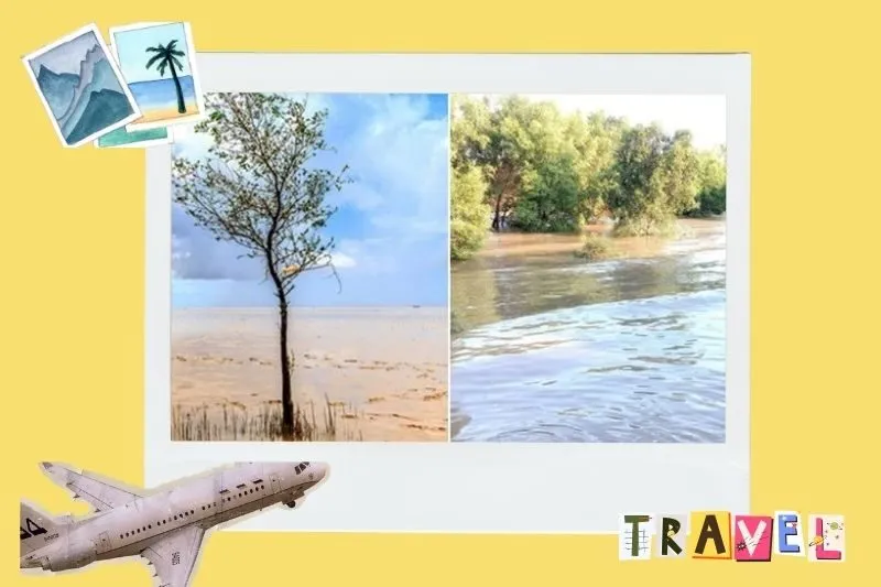 Các điểm tham quan gần Bãi biển Mỏ Ó