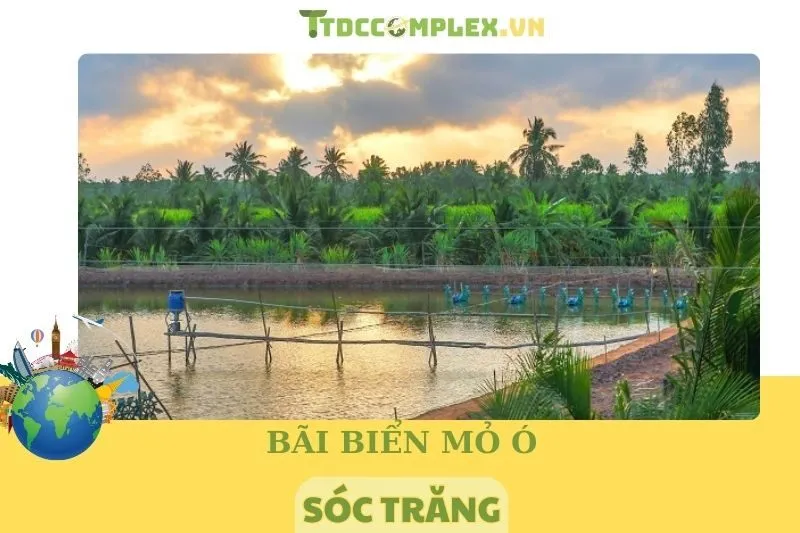 Cù Lao Dung Sóc Trăng: Khám Phá Vẻ Đẹp Hấp Dẫn Năm 2025