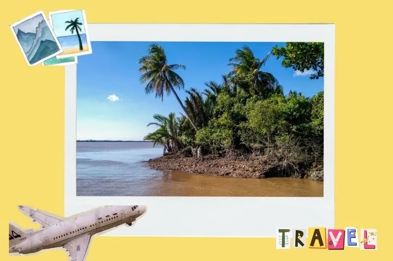 Hoạt động giải trí tại Cù Lao Dung