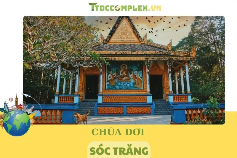 Khám Phá Chùa Dơi Sóc Trăng 2025: Kiến Trúc Độc Đáo Và Lịch Sử