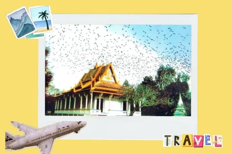 Tìm hiểu về văn hóa Khmer qua Chùa Dơi